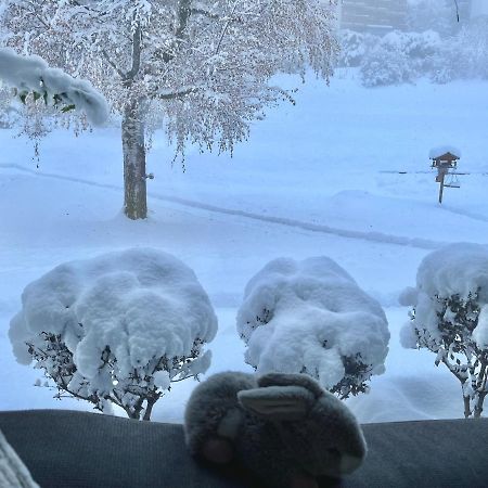 Magnifique Maison Pres Du Centre Nendaz Εξωτερικό φωτογραφία