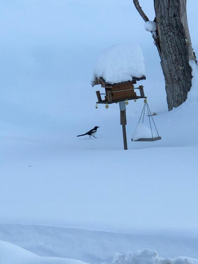 Magnifique Maison Pres Du Centre Nendaz Εξωτερικό φωτογραφία
